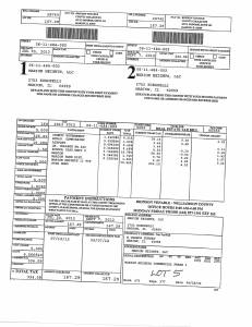 Exhibit A Tax-Bills Tax Record Cards Williamson County-illinois Il Property Tax Fraud 0508