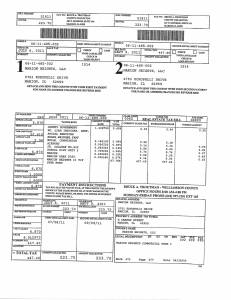 Exhibit A Tax-Bills Tax Record Cards Williamson County-illinois Il Property Tax Fraud 0522