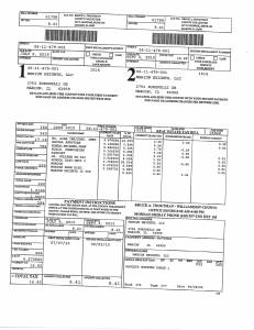 Exhibit A Tax-Bills Tax Record Cards Williamson County-illinois Il Property Tax Fraud 0531