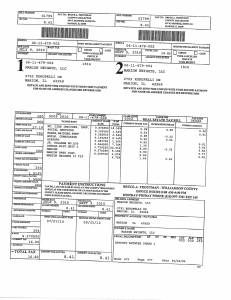 Exhibit A Tax-Bills Tax Record Cards Williamson County-illinois Il Property Tax Fraud 0532
