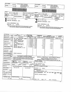 Exhibit A Tax-Bills Tax Record Cards Williamson County-illinois Il Property Tax Fraud 0571