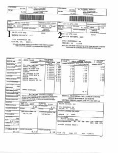 Exhibit A Tax-Bills Tax Record Cards Williamson County-illinois Il Property Tax Fraud 0604
