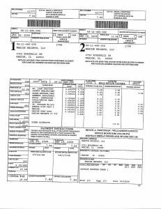 Exhibit A Tax-Bills Tax Record Cards Williamson County-illinois Il Property Tax Fraud 0625