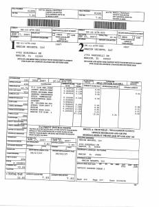 Exhibit A Tax-Bills Tax Record Cards Williamson County-illinois Il Property Tax Fraud 0659