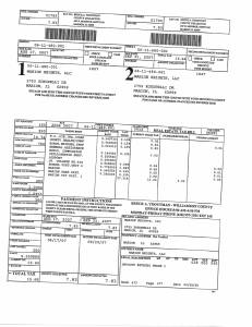 Exhibit A Tax-Bills Tax Record Cards Williamson County-illinois Il Property Tax Fraud 0666
