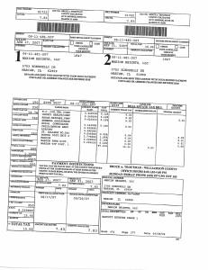 Exhibit A Tax-Bills Tax Record Cards Williamson County-illinois Il Property Tax Fraud 0685