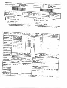 Exhibit A Tax-Bills Tax Record Cards Williamson County-illinois Il Property Tax Fraud 0687