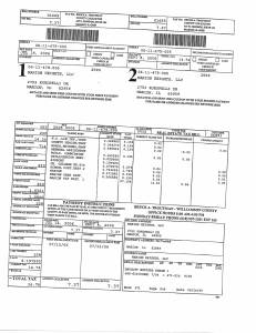 Exhibit A Tax-Bills Tax Record Cards Williamson County-illinois Il Property Tax Fraud 0703