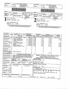 Exhibit A Tax-Bills Tax Record Cards Williamson County-illinois Il Property Tax Fraud 