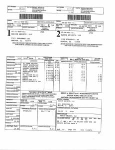 Exhibit A Tax-Bills Tax Record Cards Williamson County-illinois Il Property Tax Fraud 