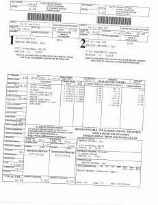 Exhibit A Tax Bill Property Tax Record Cards Williamson County-illinois Il Property Tax Fraud 