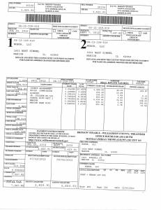 Exhibit E Propertytax Record Cards Williamson County-illinois Il Property Tax Fraud 0116
