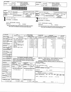 Exhibit E Propertytax Record Cards Williamson County-illinois Il Property Tax Fraud 0118